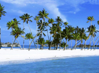 les iles Maldives