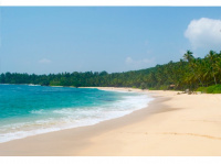 Les îles Nicobar