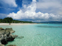 Saint martin